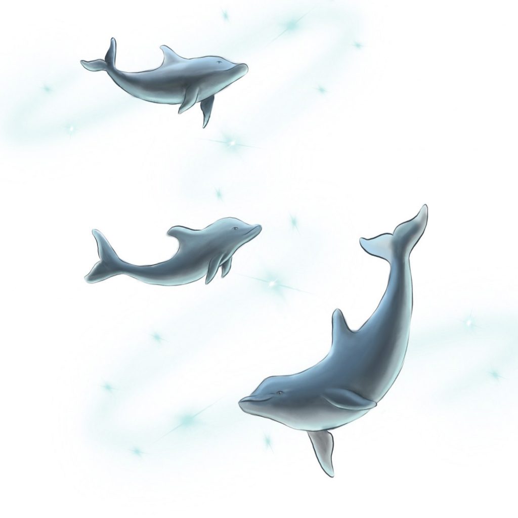 Relato CAR: un partido de hockey hielo